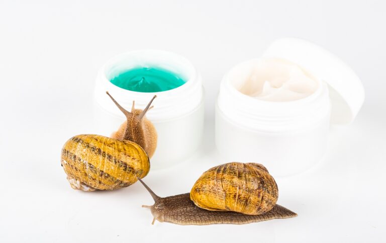 Famous Korean Skincare Ingredients – Snail Mucin